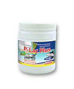 P – LAC PLUS - Thuốc Thú Y Thủy Sản Bằng Sơn - Công Ty TNHH Sản Xuất Thương Mại Bằng Sơn